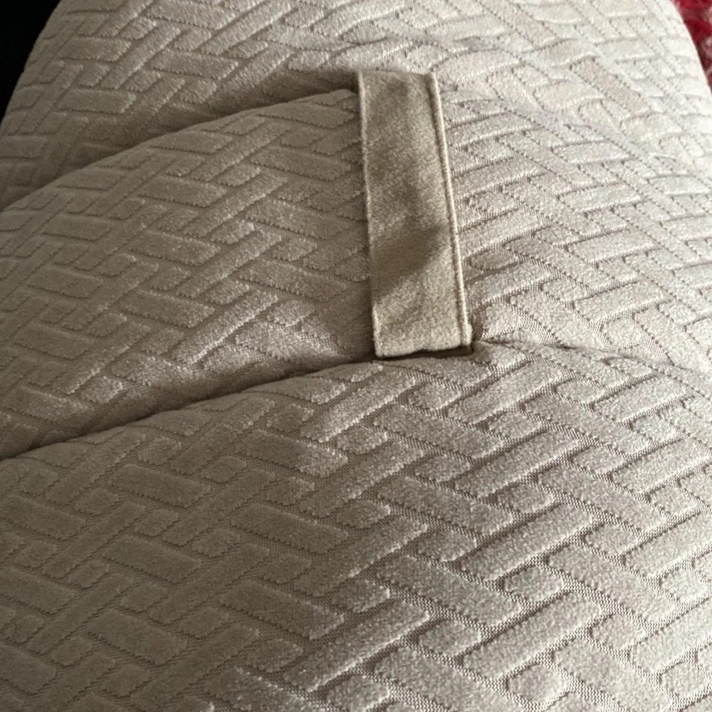 Best Friends Carry Quilted Pet House With Removable Mattress Never Used